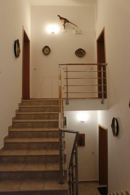 Apartmani Zeljko 메타이나 외부 사진